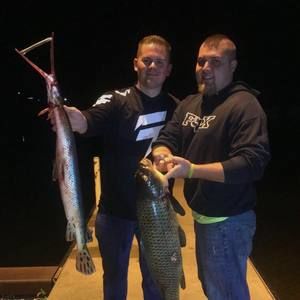 Meet your Posher, Cody